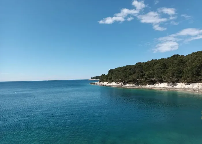 Sarah Βίλα Μεντουλίν